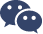 Wechat Icon